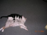 DSCN0980