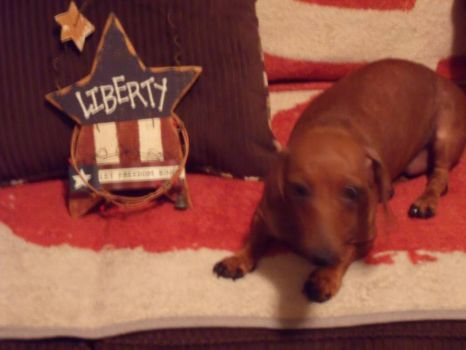 Liberty, Born on the 4th of July