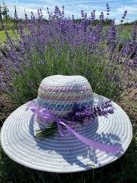 Lavender hat