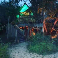 Higgledy treehouse by night