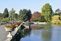 Kew Gardens, Autumn 2018