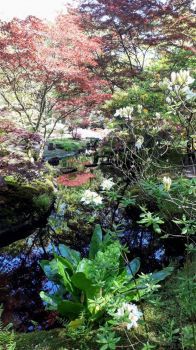 japanse tuin den haag