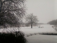 April Snow Showers   04-02-24