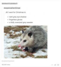 An Opossum For Plum
