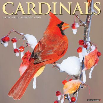 2021 Wall Calendar Cardinals