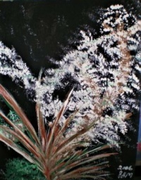 100  NIKI'S GARDEN BY MOONLIGHT  2006