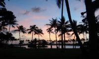 Paradise