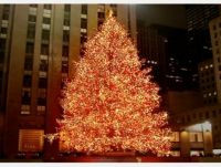 Rockafeller Christmas Tree 1