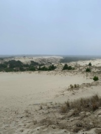 Oregon Coast Dunes