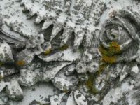 Detail of Lichen on an Old Headstone