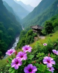 misty river (resize 12 to 195)