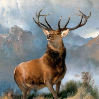 Monarch of the Glen Bulky Stag Deer by Edwin Landseer
