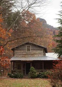 House in the Woods