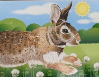 Sticker book rabbit