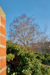 Sunny day on the rooftop