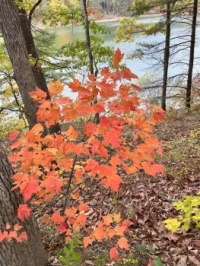 October in Virginia