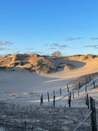 Sand dunes