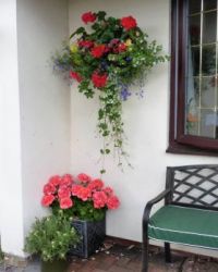 Garden baskets and containers (1)
