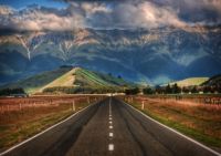 The Long Road to New Zealand