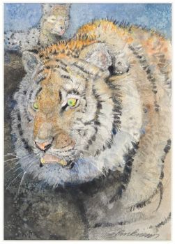 The Tiger Shere Kahn (from The Jungle Book) ~ Jerry Pinkney