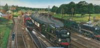 New Forest Junction