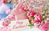 Easter In Pink