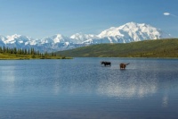 Public Camping in the U.S. - Alaska
