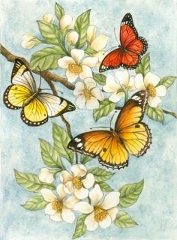 Une jolie brassée de papillons