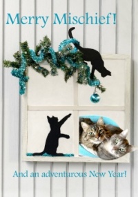 Merry Mischief!! 😊😽