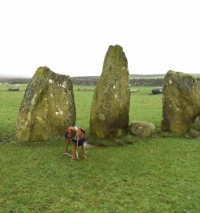 Sunkenkirk Stone Circle, the tallest stone at 7 Foot 3 inches, the circle diameter is 93 Feet