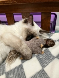 I Love My Squirrelie...
