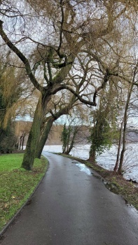 Weg  am See