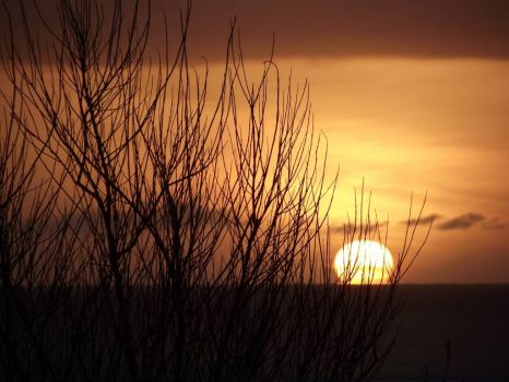 sunrise taken this morning overlooking the moray firth