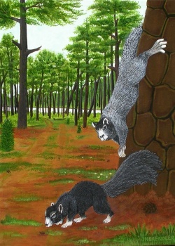 Solve The Fox Squirrels of Pawley's Island, South Carolina. By J