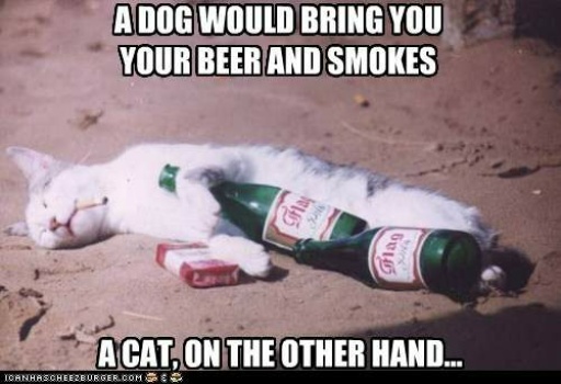 a-dog-would-bring-you-your-beer-and-smokes