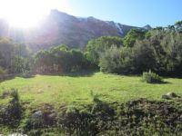 Mountain meadow, Ruby Mountains, Nv.