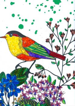 Birds Coloring Bird