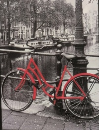 Red Bike...