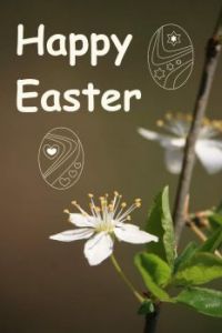 ❣️*•☘️ Happy Easter ☘️•*❣️