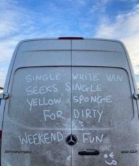 Single White Van