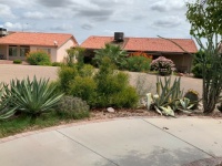 AZ scenery