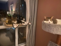 The 3 Girls like to Lounge!