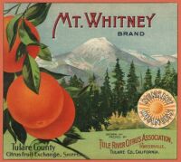 Mt. Whitney brand