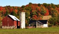 Farm near LaFayette NY