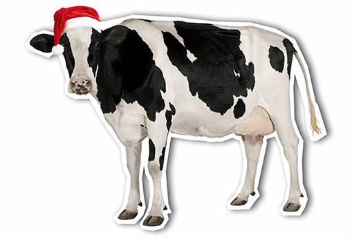 Christmas Cow... Moooooohhh!!!