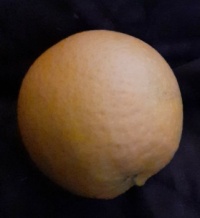 My First Orange
