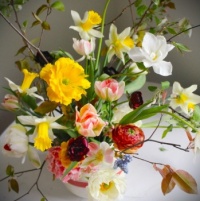 🌼🌸"Dreaming of Spring"🌺🌻