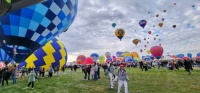 Zebras at 2023 Albuquerque Balloon Festival