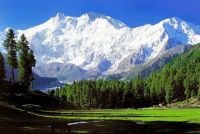 Fairy Meadows