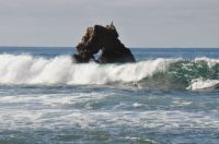 Just swell